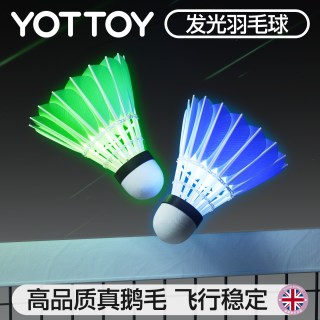 YOTTOY 发光羽毛球 夜光荧光鹅毛耐打户外训练