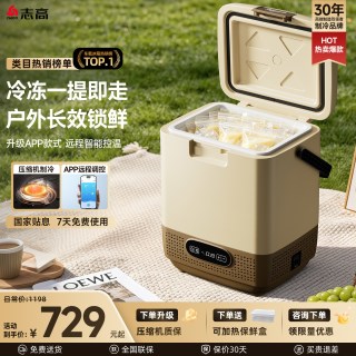 志高 T01-12 车载冰箱 12升 奶咖棕