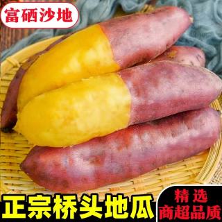 黄六爷 海南澄迈桥头地瓜 富硒沙地 黄心圆果 5斤 小果