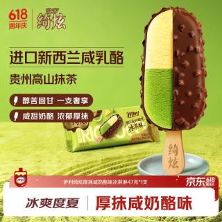 伊利 绮炫厚抹咸奶酪味冰淇淋47克*1支