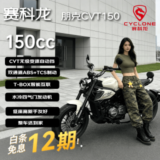 宗申 朋克CVT150 复古巡航 民谣白 燃油摩托车