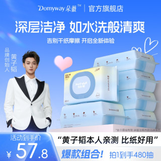 朵薇 湿厕纸 80片*1包