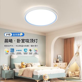 雷士 LED吸顶灯 RA98全光谱 晨曦-蓝 57W分段调光