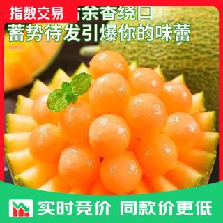 正宗海南沙地哈密瓜玫珑蜜瓜当季新鲜冰淇淋网纹瓜 带箱9-10斤