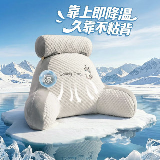 AVIVI 靠枕床头靠垫软包床上靠背垫办公室腰靠沙发抱枕腰垫60*45冰豆狗