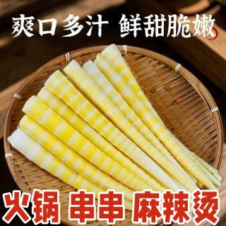 寻芽记 高山清水笋
