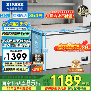 星星 260L单温家用小型冰柜 大容量风冷无霜保鲜节能一级能效BD/BC-260WE