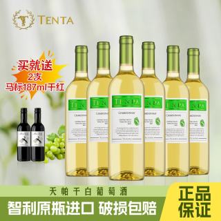 TENPA 智利原瓶进口莎当妮白葡萄酒 750ml*6瓶 整箱