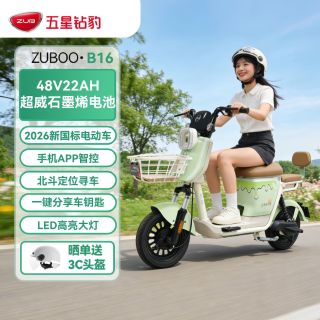 百亿补贴：五星钻豹 B16 48V22Ah 新国标电动自行车
