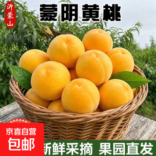 山东蒙阴黄桃 新鲜水果黄金桃子脆蜜毛油送礼品物盒 中果 带箱5斤净重4.5斤