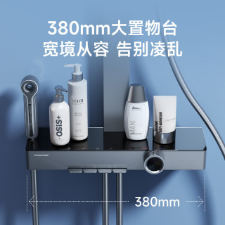 东鹏 淋浴花洒套装 背喷按摩增压全铜 枪灰数显 435H方顶