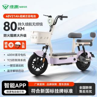 绿源 x源行者专供新国标电动自行车48V21A电动车长续航铅酸电瓶车 烟沙紫 48V21A