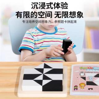 欧因 隐藏积木拼图益智玩具儿童逻辑思维训练智力开发动脑专注力玩具 塑料隐藏积木