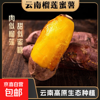 京喜 正宗榴莲蜜薯  1斤装*中小果 含箱