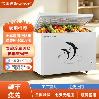 荣事达 272-300升冰柜家用商用大容量全冷冻型净味冷柜冷藏冷冻