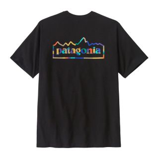 Patagonia 男士短袖T恤 37768