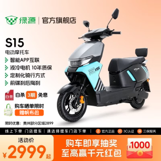 绿源 S15 LY1000DT-3A 新款电动摩托车