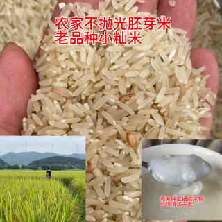 老品种胚芽小籼米 2斤 广西深山熬米汤米油多软香农家不抛光胚芽米