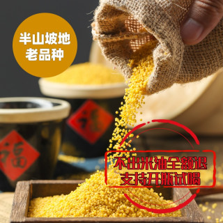 小米 5斤 黄小米 新鲜煮粥米 油多 新米 谷子 春谷子