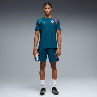 PUMA 葡萄牙国家队训练服男士运动T恤 784767