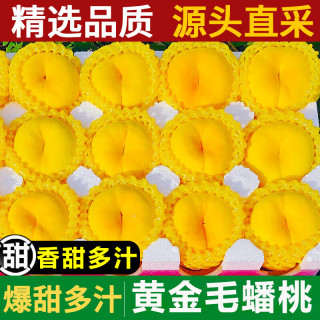 粤迎 山东蒙阴黄金毛蟠桃毛蟠桃现摘桃子新鲜水果 SS+级颗颗甄选单果120g+净重4.5斤