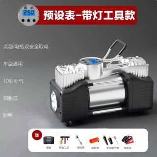 雷傲 车载充气泵打气泵小轿车便携式汽车用轮胎大功率电动双缸高压车用