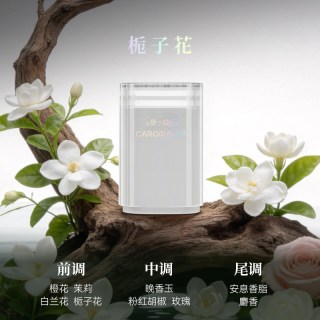 88VIP：香百年 X.Z.501.1 车载香薰 栀子花-白 130G