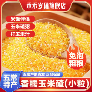 禾禾 岁穗香糯玉米碴粘玉米糁正宗东北大碴子粥米饭专用包谷糁新米