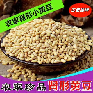 古老品种肾形黄豆 500g 发豆芽打豆浆磨豆腐专用