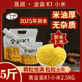 晟阗 2025年新米辽宁朝阳东北黄金苗K1杂粮小米 5斤