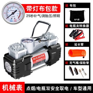雷傲 高压打气筒电动车载充气泵气球篮球自行车打气泵220V12V双缸自动