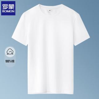 罗蒙 纯棉短袖t恤男 体恤衫  任选2件