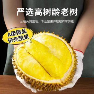 江南沐汐 泰国金枕榴莲 2-3斤单果装