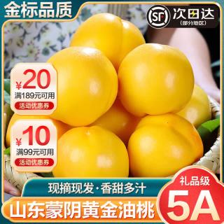 机林有果山东蒙阴黄金油桃纯甜黄油桃当季新鲜水果脆甜软蜜桃 净重4.5斤顺丰