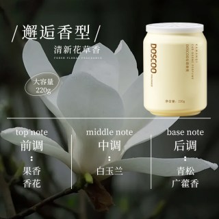 DOSCOO 男女士车载式车内高级香薰除异味汽车用2025新款持久留香固体香膏
