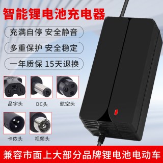 琳茵 锂电池充电器54.6V48V3A4A5A2A10A滑板车独轮车哈雷电动车改装车