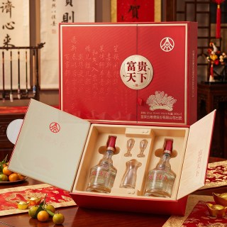 五粮浓香 富贵天下荣华浓香型白酒52度500ml*2瓶