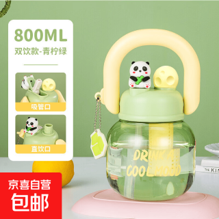 京喜自营-专用品牌 夏季新款网红拎拎壶大容量水杯塑料冰霸杯卡通儿童吸管杯子 绿色800ml（买一赠一 5.45元/个）