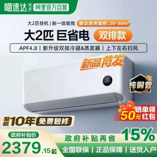 国家补贴：小米 新一级能效变频 壁挂式空调 2匹双排款