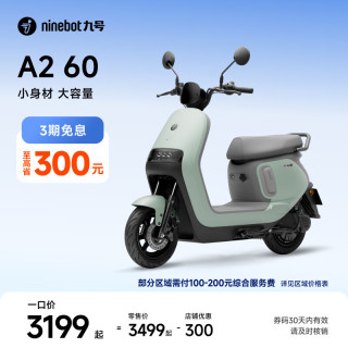 九号 长续航 电动轻便摩托车