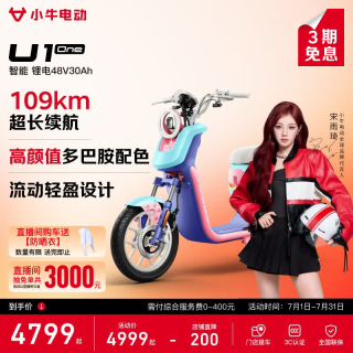 小牛电动 U1 one 电动自行车 48V30Ah锂电