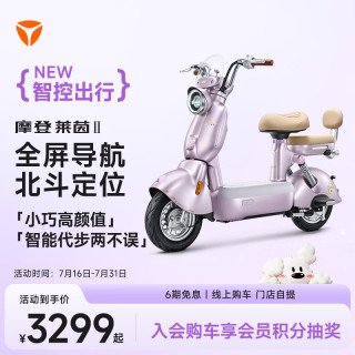 雅迪 摩登莱茵二代 智能电动自行车