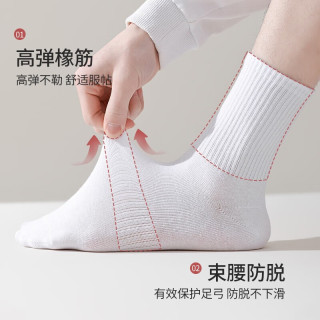 卡拉美拉 男女短中长筒袜子 四季款透气袜子  5双