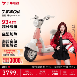 小牛电动 Y果冻Citi 电动车 48V24Ah锂电池