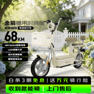 金箭 超长续航 电动自行车