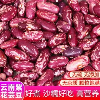 紫花芸豆红花芸豆腰豆新豆新鲜五谷杂粮新鲜芸豆