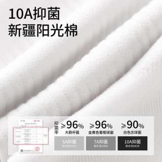 黛尔佳人 男士袜子 6027 夏季薄款纯棉中筒袜