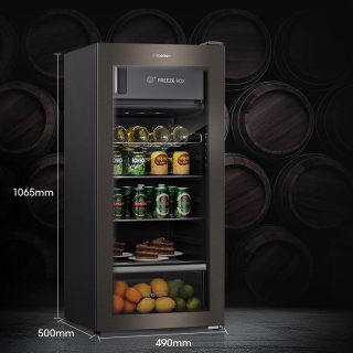 海信 125L立式冰柜冰吧家用小冰箱冷藏冷冻一级能效净味