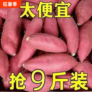 移动端：二么鲜 新鲜蜜薯9斤板栗红薯沙地糖心地瓜农家自种番薯板栗薯山芋甜蜜