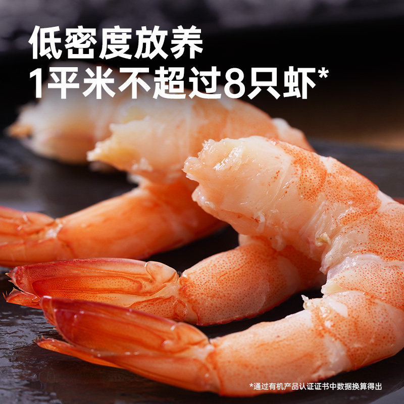 XYXT虾有虾途 盐田虾熟冻渤海基围虾